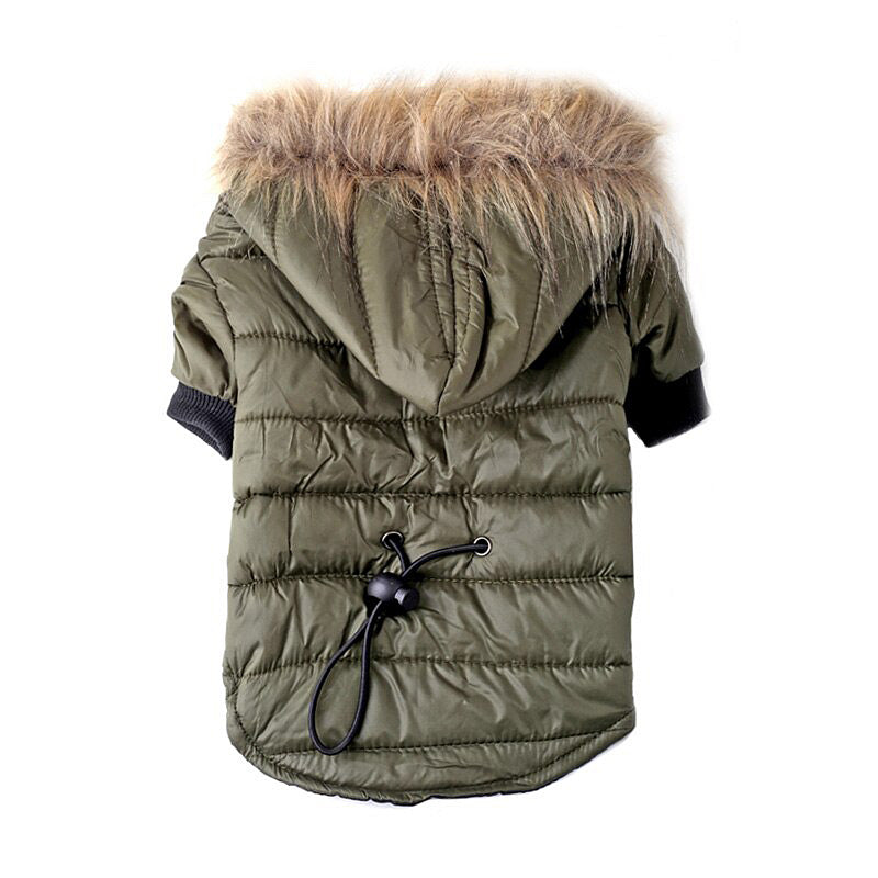 Autumn Winter Teddy Pet Sweater Clothing